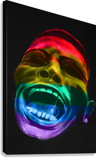 IMG 1354 try Canvas Print