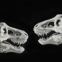 PXL 20220327 141727863