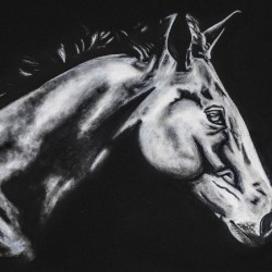 dark horse by abhi 2 orig