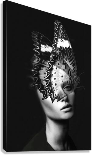 MOTH Canvas Print