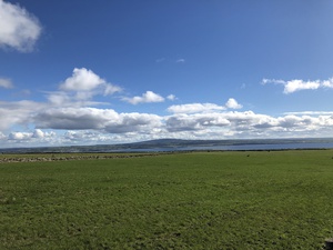 Ireland Field by Cliffs Of Mohar