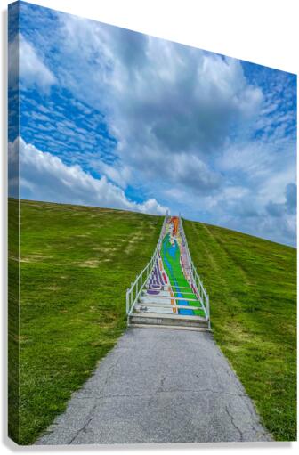 Trash Mountain Steps Canvas Print