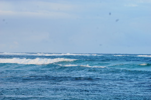 Sea Spray