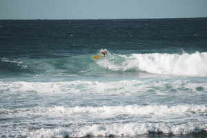 Shredding 