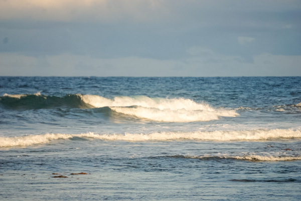 Wave Hello Print