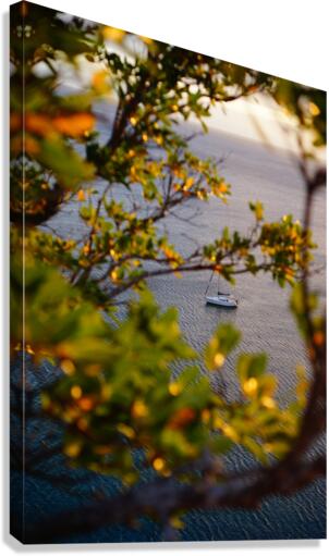 I Spy Canvas Print