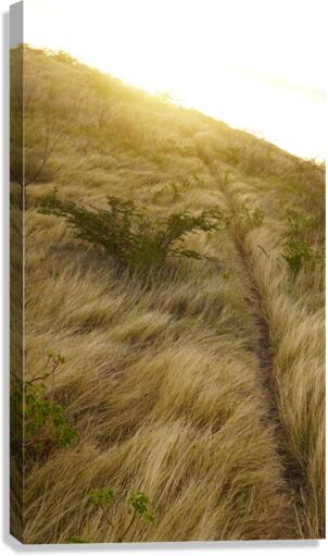 Trust Canvas Print