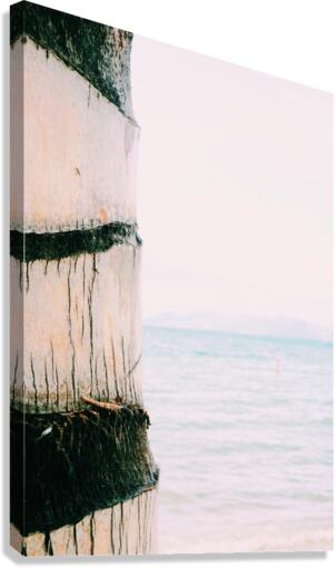 Tree Hugger Canvas Print