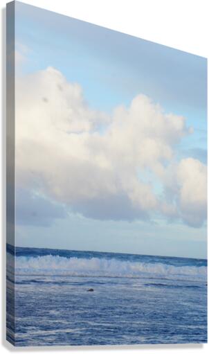 Happy  Canvas Print