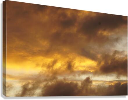 Rolling in Canvas Print