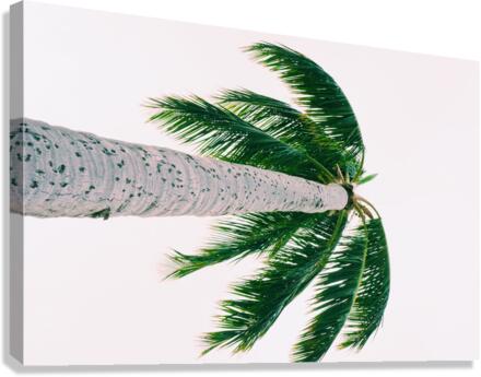 Tall Guy eh  Canvas Print