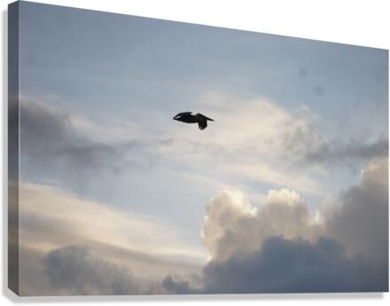 Humbled Canvas Print
