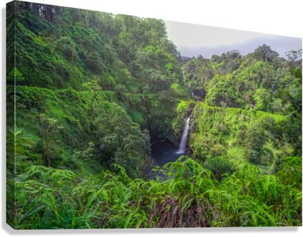 Moana  Canvas Print