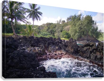 Jump In Canvas Print