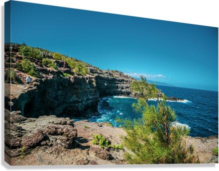 Wanderer Canvas Print