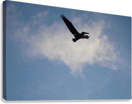 Freed Canvas Print