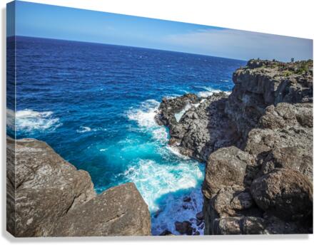 Spray Canvas Print