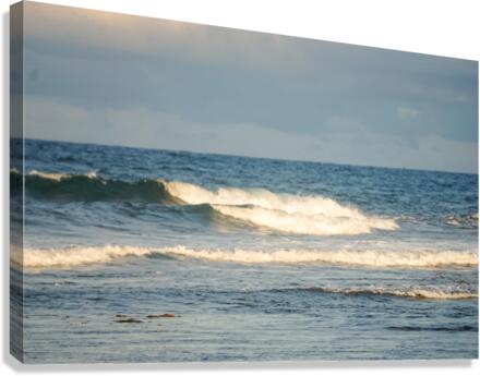 Wave Hello Canvas Print