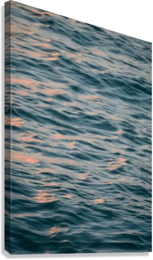 Water Canvas Print