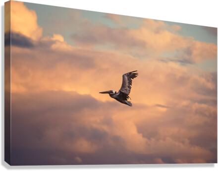 Sweet Goodbyes Canvas Print