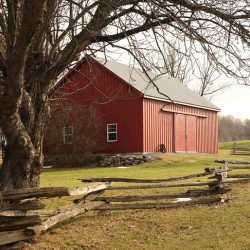 Red Barn wsplit rail fence