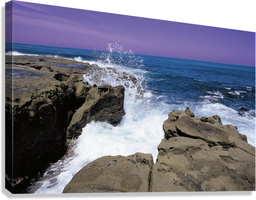 La jolla  Canvas Print