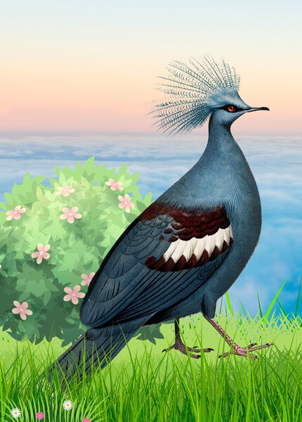 Blue Bird Print