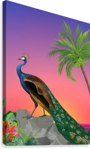 Peacock Canvas Print