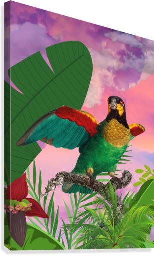 Parrot  Canvas Print