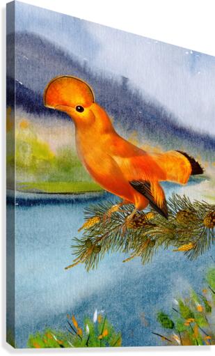 Mohawk Bird Canvas Print