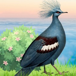 Blue Bird