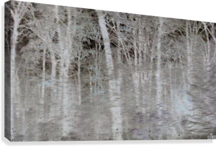 Filthy Winter Canvas Print