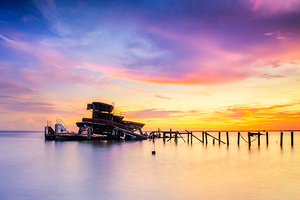 Bones of Lake Pontchartrain