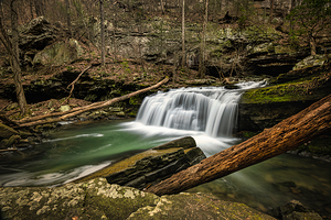 Tumbling down Daniel Creek