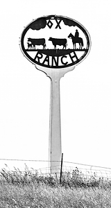 Diamond X Ranch