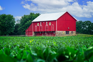 Joyous Barn
