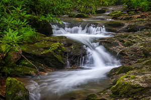 Kimsey Creek Rapids