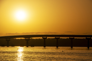 Pickwick Sunrse