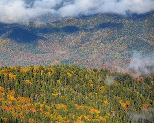 Smoky Mountains Tapestry