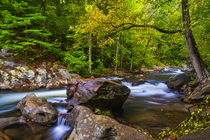 Tellico River serenity