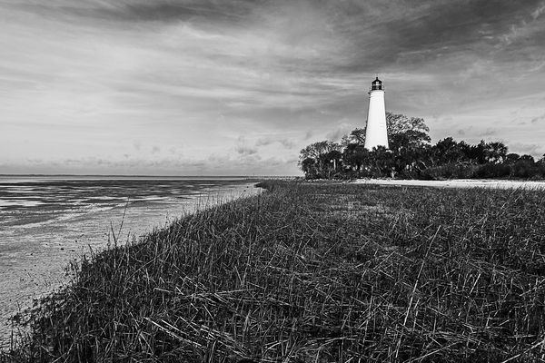 Low Tide at St. Marks Lighthouse Print