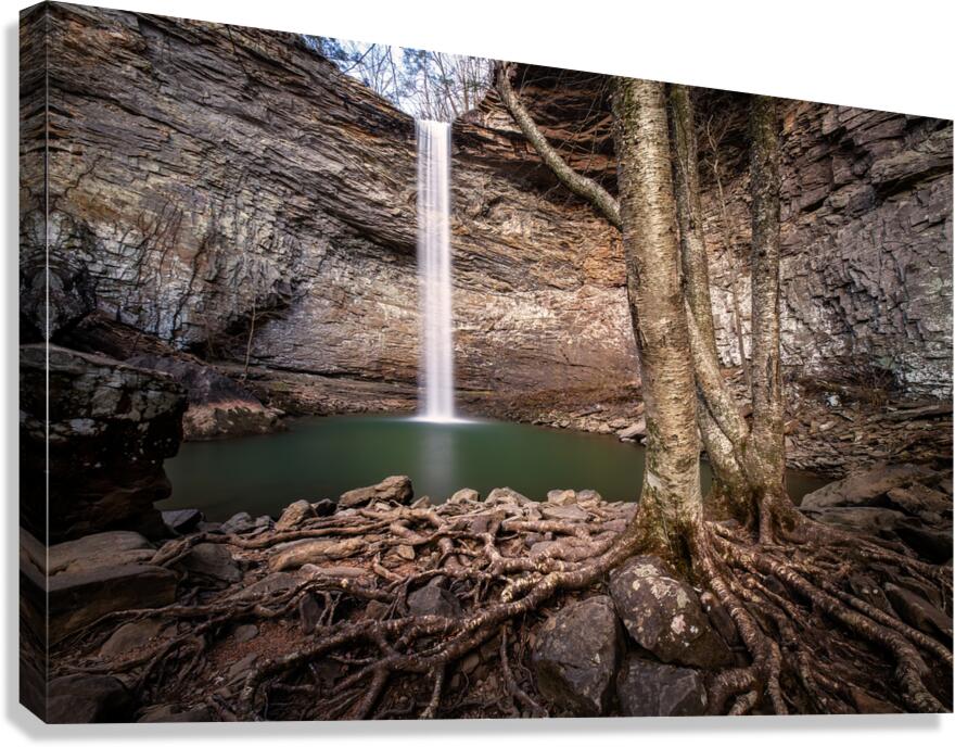 Reaching for Ozone Falls Canvas Print