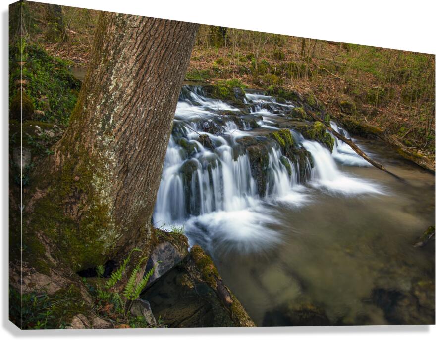 Flat Creek Cascade Canvas Print