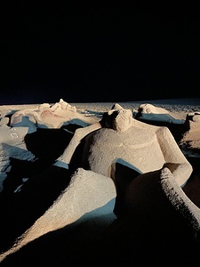 IMG 0755