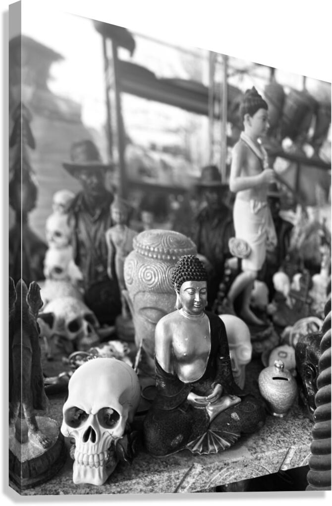 IMG 5040 Canvas Print