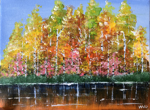 Birch Trees in Fall