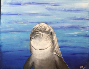 Dolphin