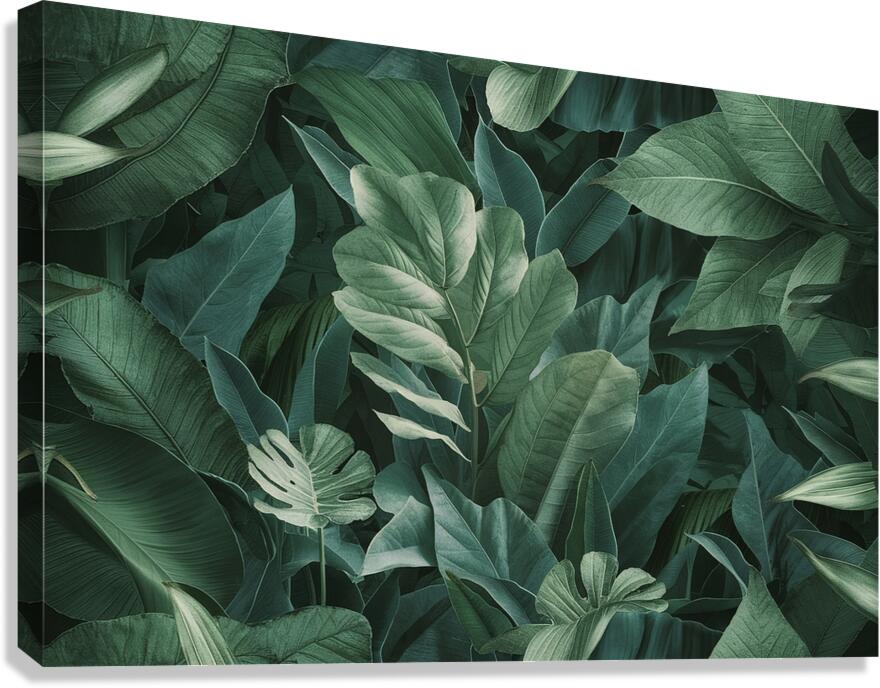Leaf texture background Canvas Print