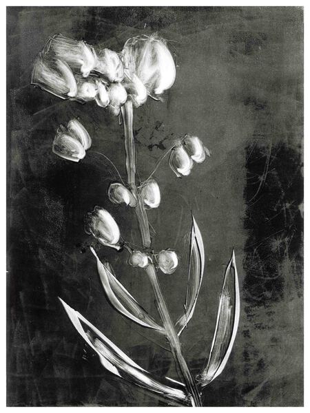 BLACKWHITEFLOWER Print