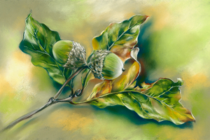 Autumn Oak Acorns Green and Gold
